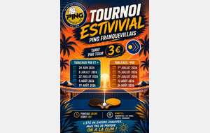 Tournois d'été Ping Franquevillais